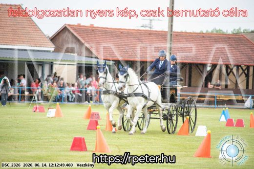 Mintakép 20260614-149