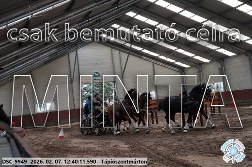 Mintakép 20260207-402