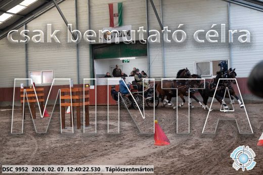 Mintakép 20260207-405