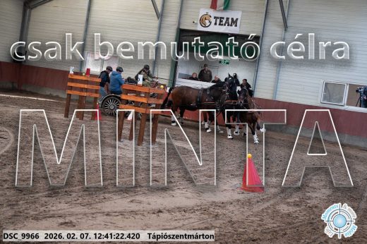 Mintakép 20260207-419