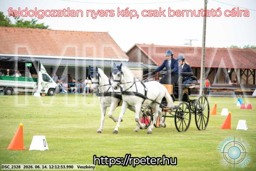 Mintakép 20260614-151