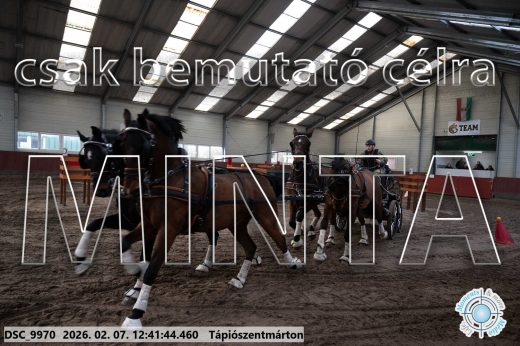 Mintakép 20260207-423