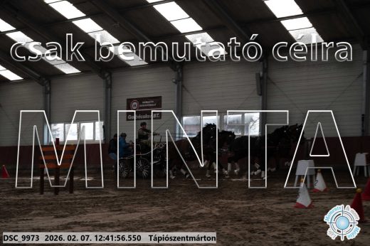 Mintakép 20260207-425