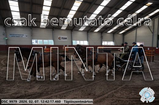 Mintakép 20260207-430