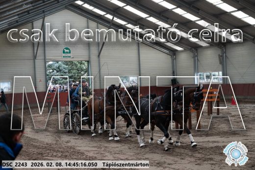 Mintakép 20260208-638