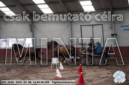 Mintakép 20260208-644