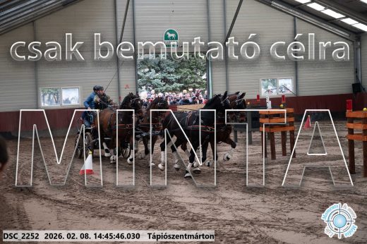Mintakép 20260208-647