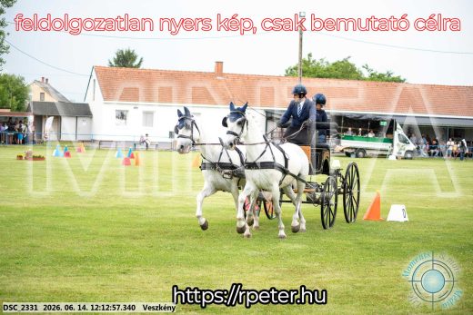 Mintakép 20260614-153