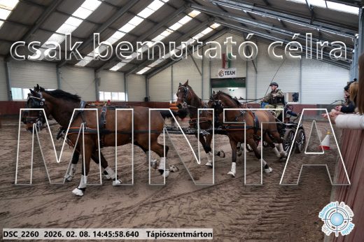 Mintakép 20260208-655