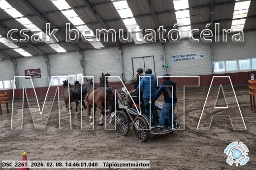 Mintakép 20260208-656