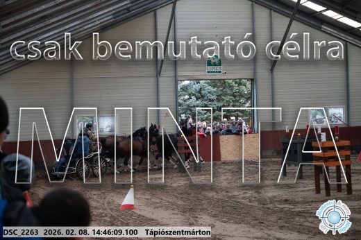 Mintakép 20260208-658