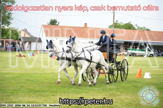 Mintakép 20260614-154