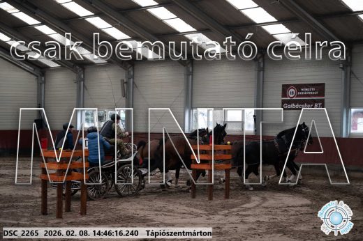 Mintakép 20260208-660