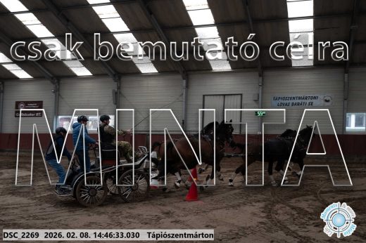 Mintakép 20260208-664