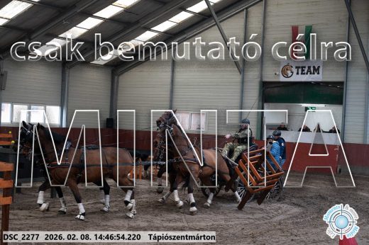 Mintakép 20260208-672