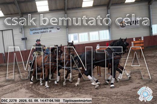 Mintakép 20260208-673