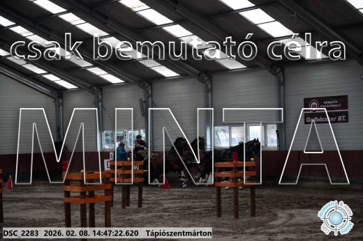 Mintakép 20260208-677