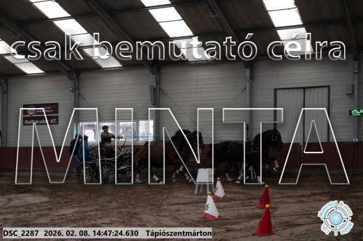 Mintakép 20260208-681