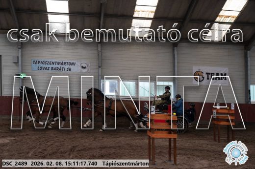 Mintakép 20260208-686