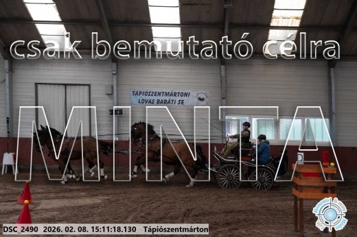 Mintakép 20260208-687