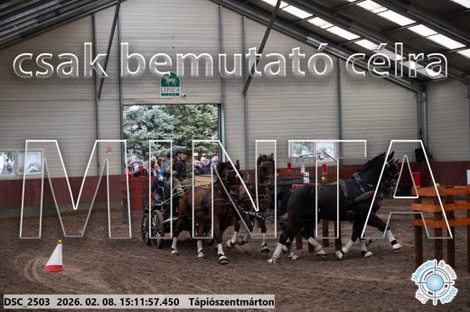 Mintakép 20260208-700