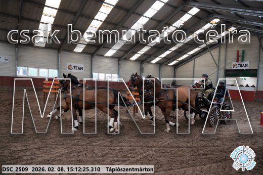 Mintakép 20260208-706