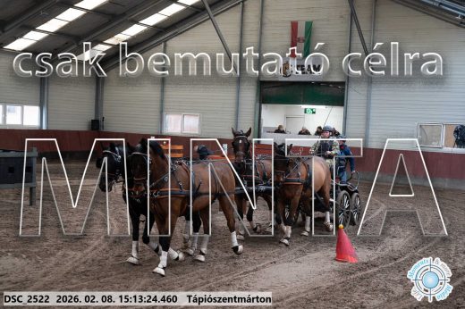 Mintakép 20260208-719