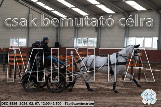 Mintakép 20260207-436