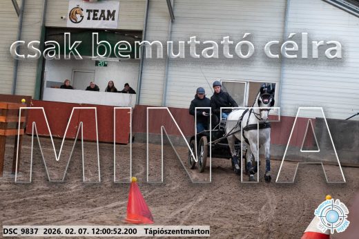 Mintakép 20260207-437
