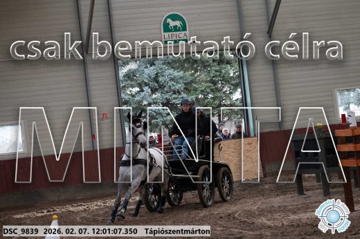 Mintakép 20260207-438