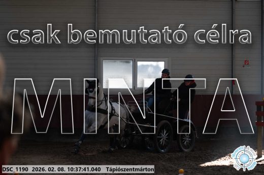 Mintakép 20260208-723