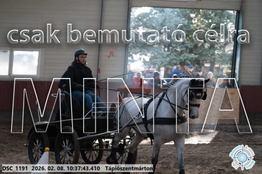 Mintakép 20260208-724