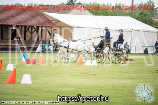 Mintakép 20260614-162