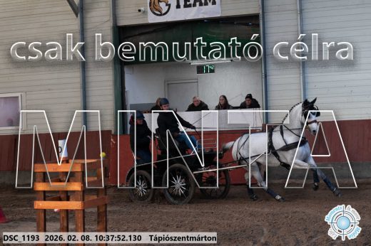 Mintakép 20260208-726