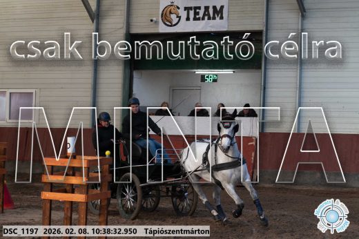 Mintakép 20260208-730