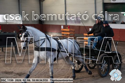 Mintakép 20260208-732