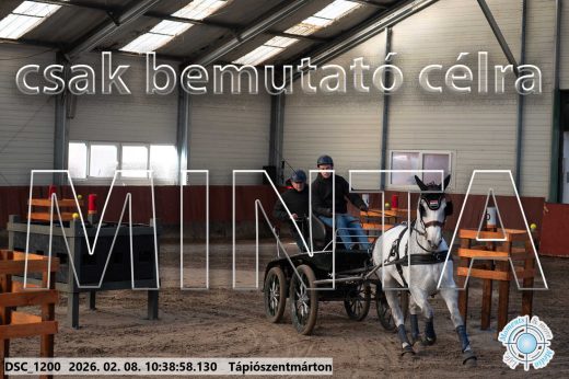 Mintakép 20260208-733