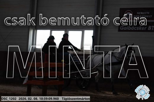 Mintakép 20260208-735