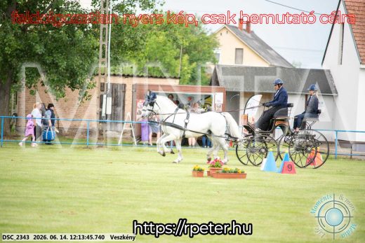 Mintakép 20260614-163