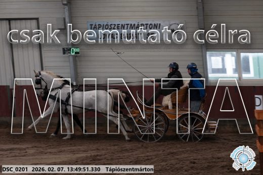 Mintakép 20260207-449