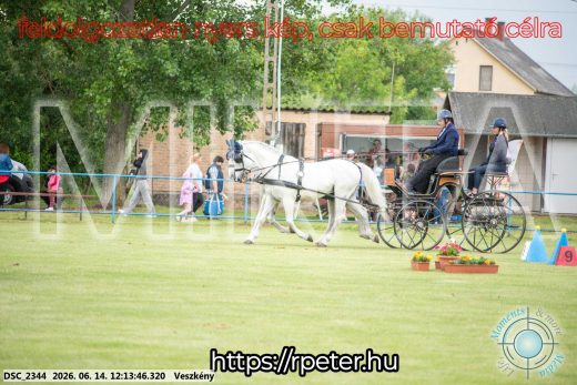 Mintakép 20260614-164