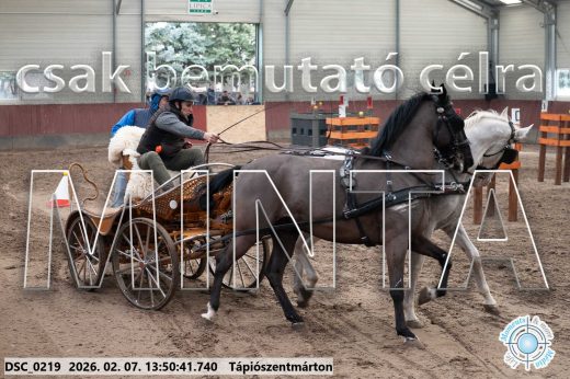 Mintakép 20260207-466