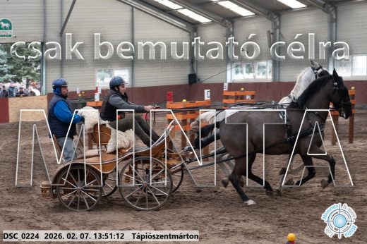 Mintakép 20260207-471