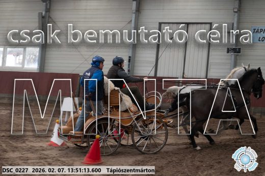 Mintakép 20260207-474