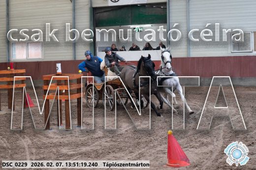 Mintakép 20260207-476