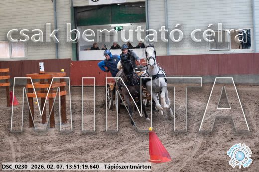 Mintakép 20260207-477