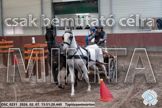 Mintakép 20260207-478