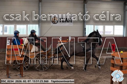 Mintakép 20260207-481