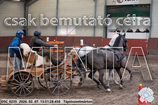 Mintakép 20260207-482