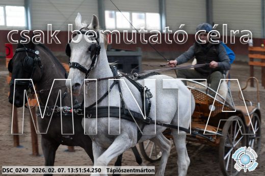 Mintakép 20260207-487